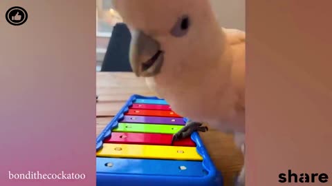 FUNNY CATS and DOGS 🐱🐶 & other ANIMALS 🐾 New Funniest Animals Videos 2023 😂