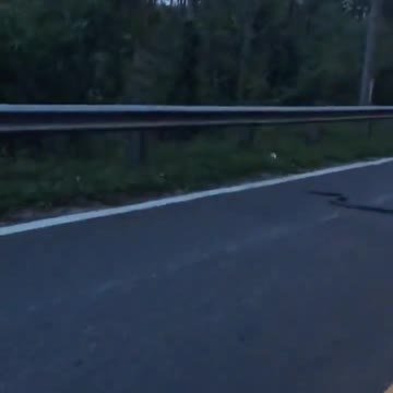 Moped fails to see huge snake on the road in Vietnam