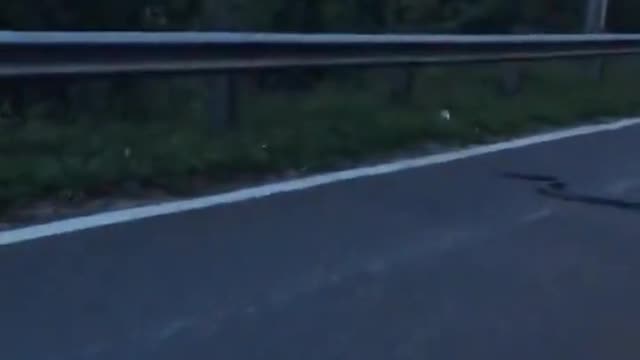 Moped fails to see huge snake on the road in Vietnam
