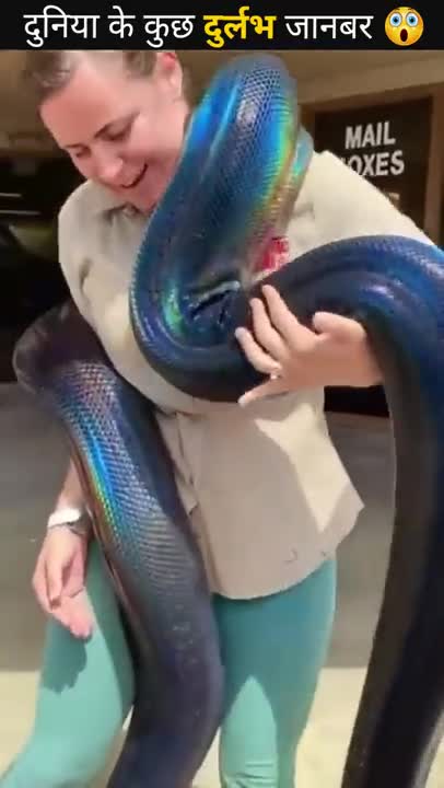 Unseen Animals Amazing Facts _ Facts Cloud _ Animals Amazing Facts