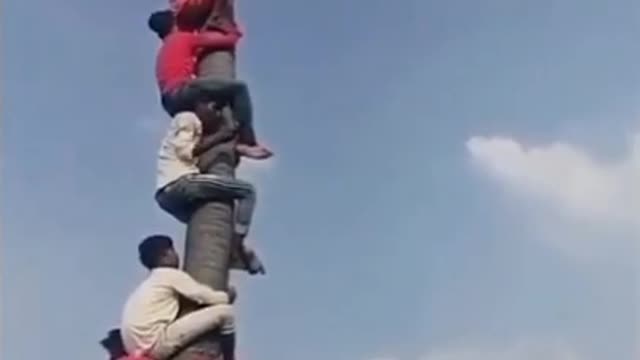 Climbing on tree🤣 funny video 🤣 crazy comedy video