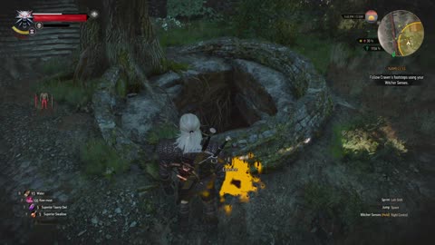 The Witcher 3 missing persons part 2 nameless