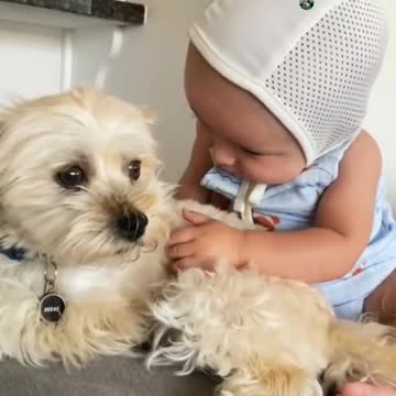 CUTE BABY 🥰 FUNNY VIDEO 😍 PUPPY AND CUTE BABY