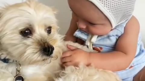 CUTE BABY 🥰 FUNNY VIDEO 😍 PUPPY AND CUTE BABY