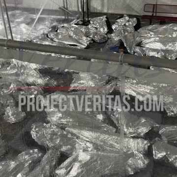 will you visit the born Kamala?