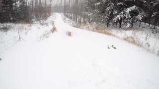 Sledding fail turns guy into abominable snowman