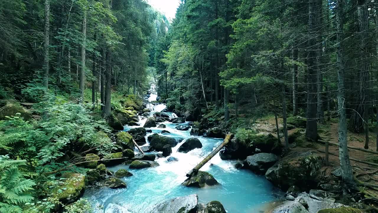 Relaxing Waterfall Forest Sounds