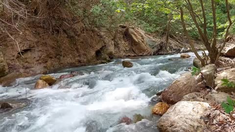 Fishing in the Riacho a Velha Maneira | Amazing old fashioned fishing