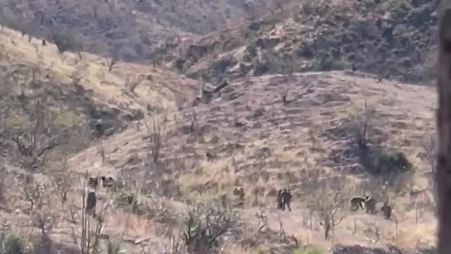 Luis Pozzolo Video Of Illegal Immigrants On Trail
