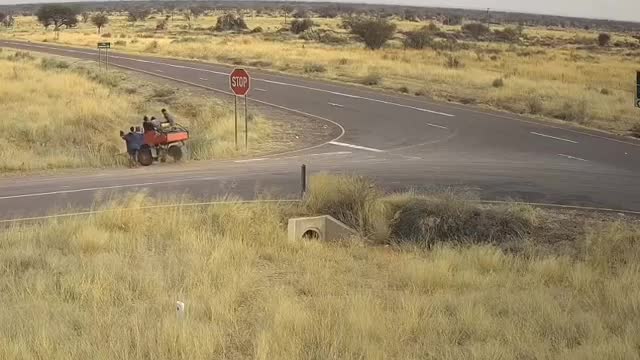 Kalahari donkey cart accident