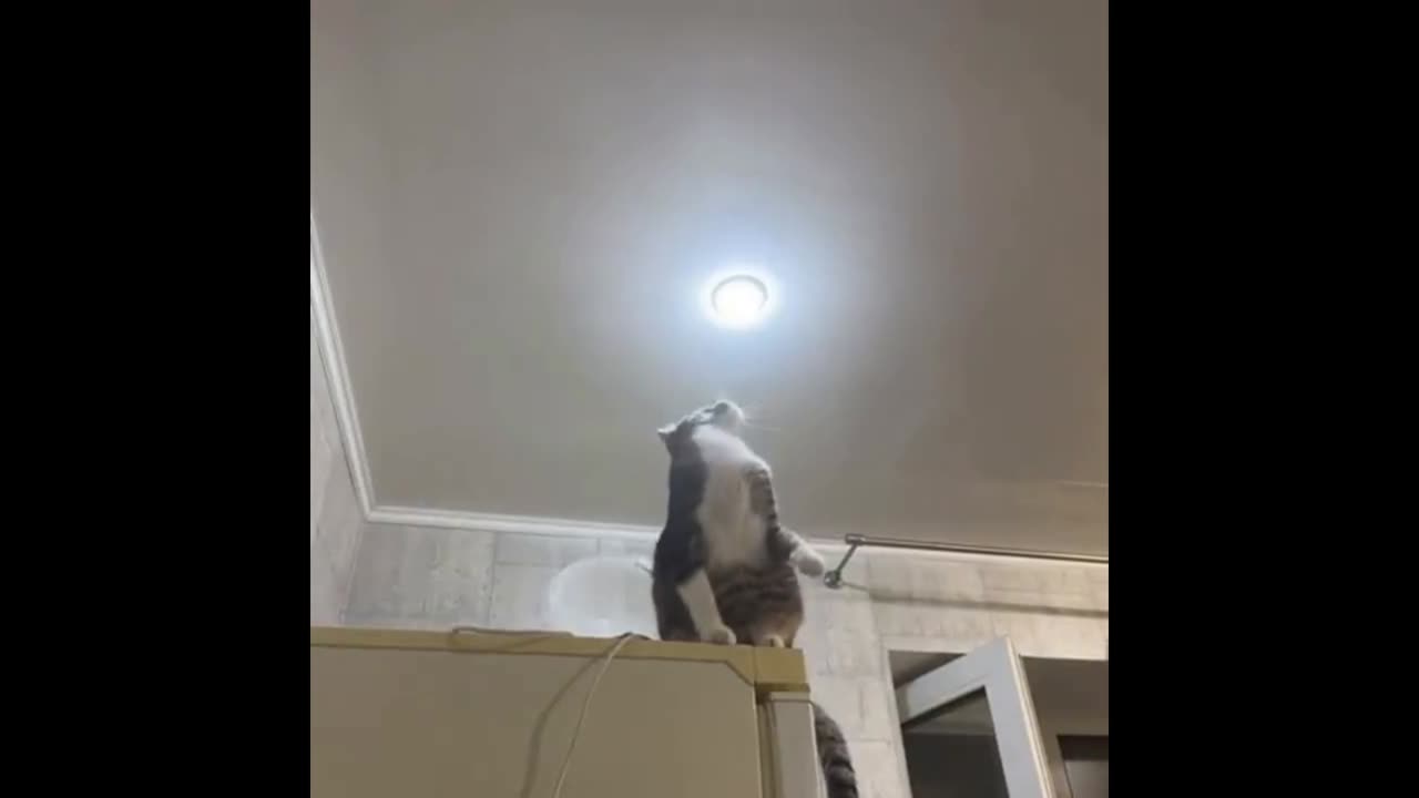 Electrician of the year