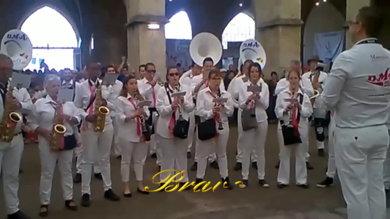 D.M.A. Band Hegoak