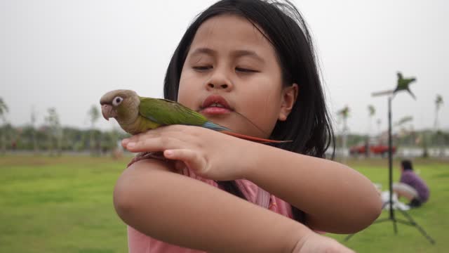 OMG SO CUTE! Funny Parrot Compilation | MARLENE MC'COHEN