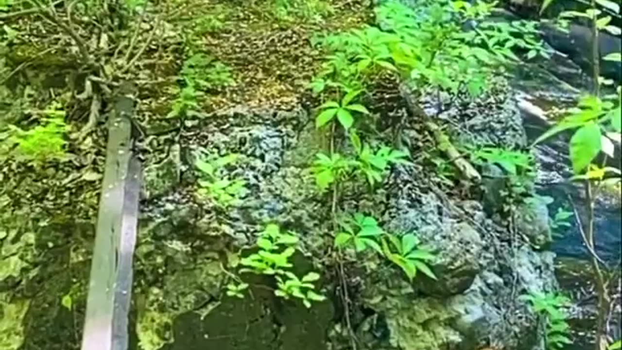 ONE WASHED AWAY?