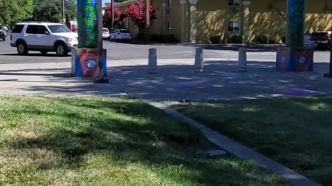 PREYINGHWK REPORT #47: CHICO'S GUIDESTONES - WAKE UP BEFORE IT'S TOO LATE