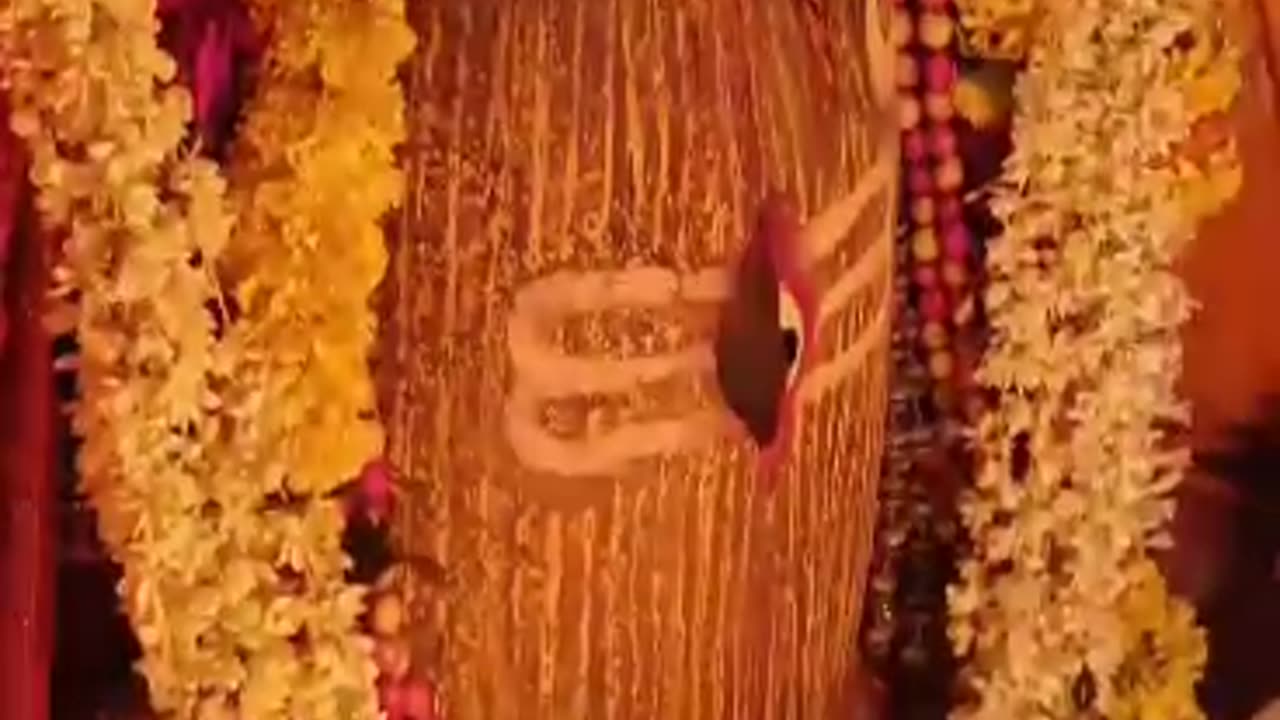 Aarti mahakal 🙏🏾 ki