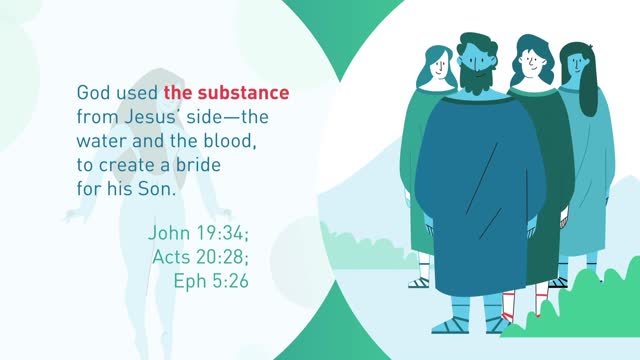 Watermark Gospel: How to Read the Bible