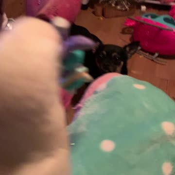 Bean has had it with prince caspian