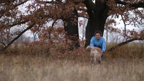 Cheerful positive woman giving command to her labrador during the dog training education process