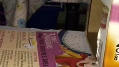 Girl plays with mouse in cereal boxes