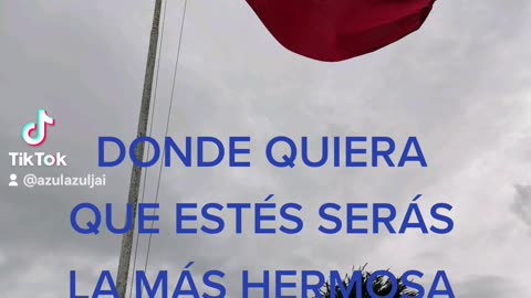 MI BANDERA