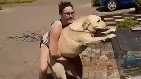 Go out to play