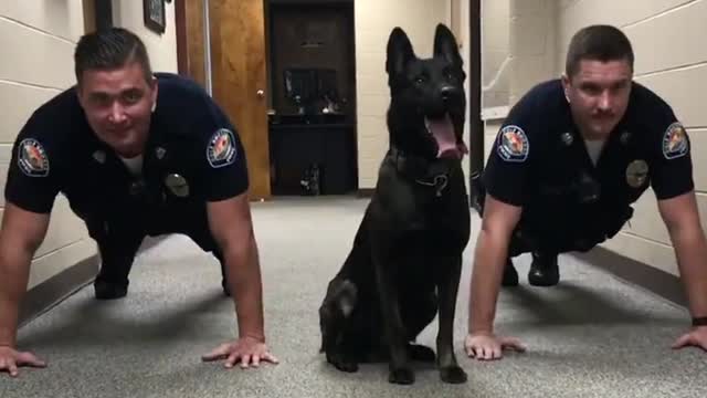 Alabama Police Dog Shows Officers How To Do Push-Ups