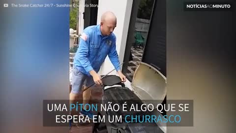 Família encontra cobra píton dentro de churrasqueira