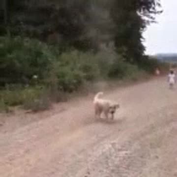 Storm chasers 🤣😂