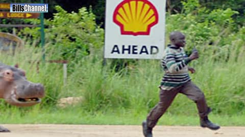 Man Chased By Hippo