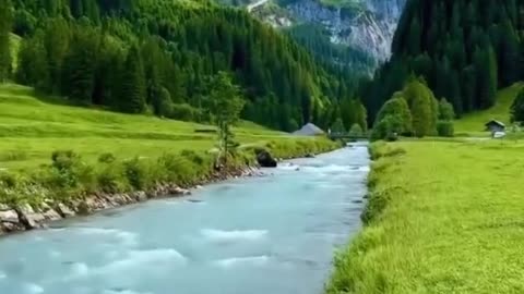 Beautiful nature