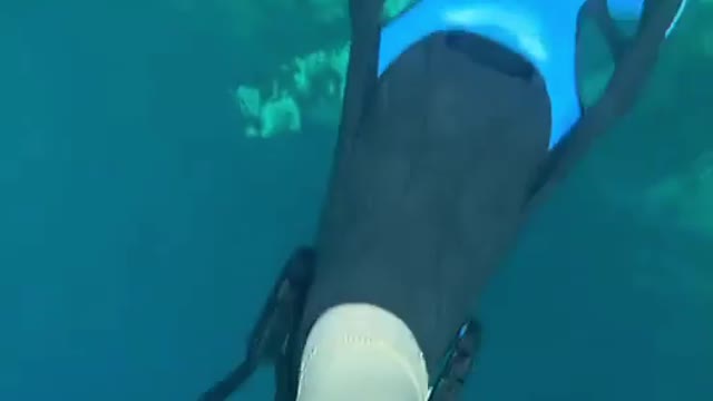 TAKING A DEEP DIVE IN LAKE BARRACUDA IN THE PHILIPPINES