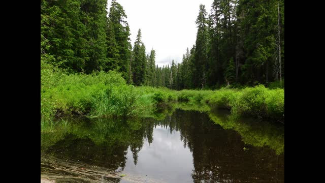 Kayaking Clear Lake, underwater video