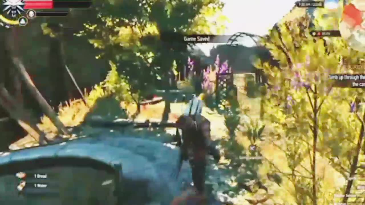 The Witcher 3: Cutscenes: Part 9