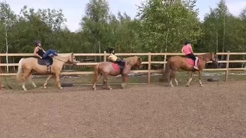 Horse riding training