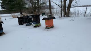 S4E1. 02/15/2021 - BEEKEEPING WITH URI