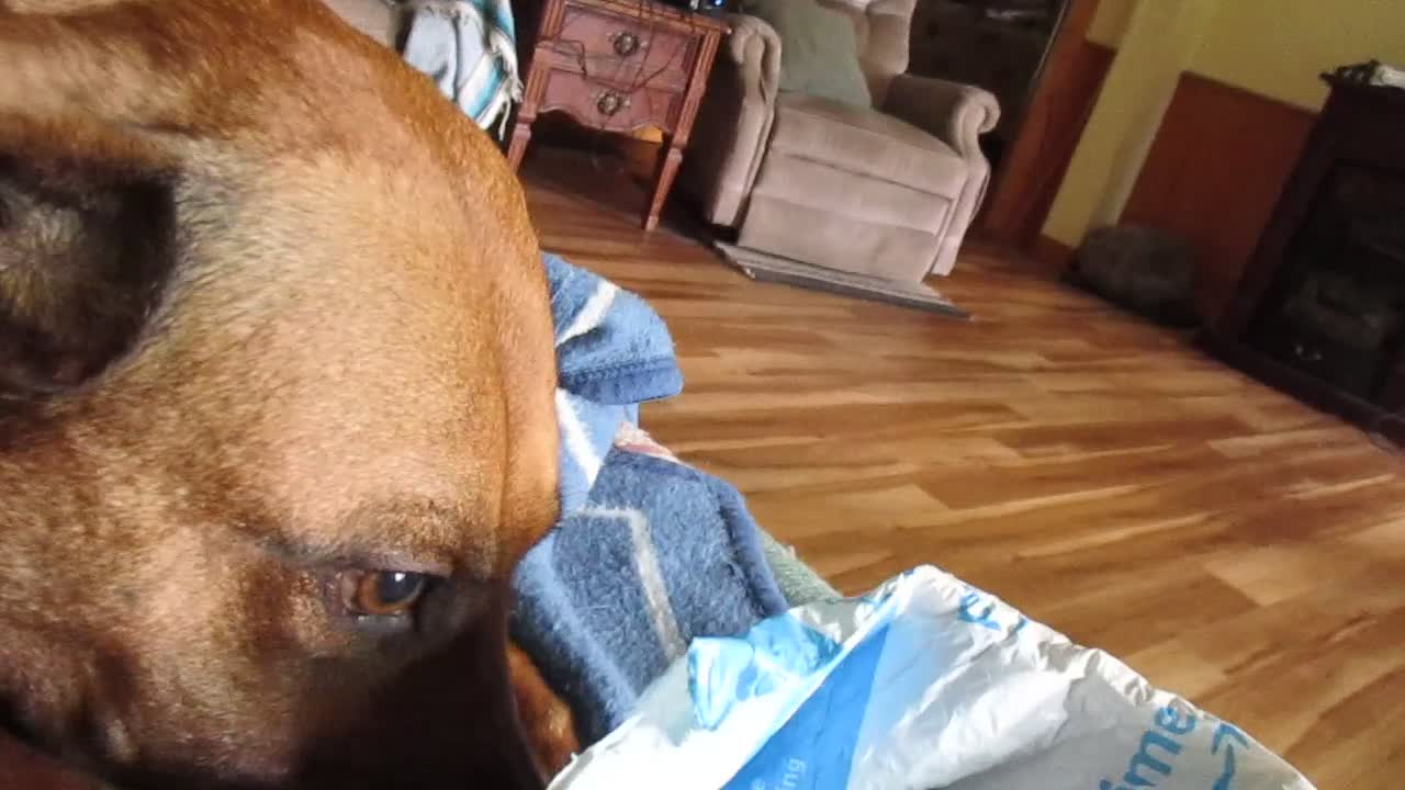 Package Tug-of-War