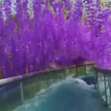 Wow, wonderful and beautiful Lord of the worlds