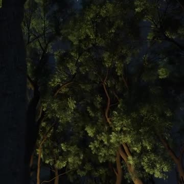 Night view of Pakistan ❣️❣️