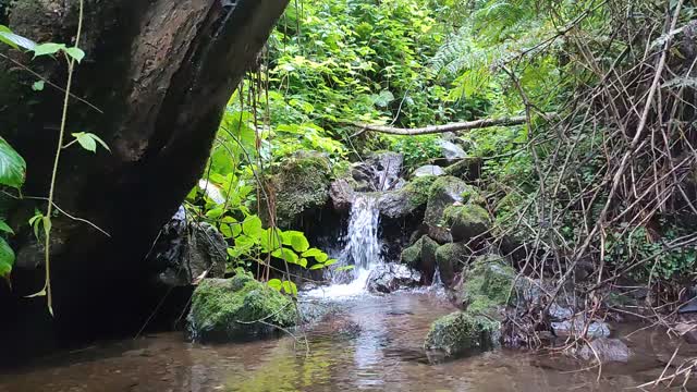 Relaxing River & Water Stream Sound - For Sleeping/Study/Meditate - 10 min