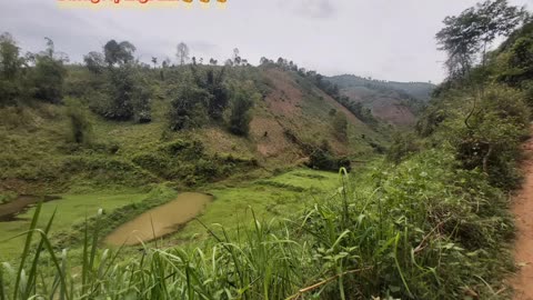 pure countryside