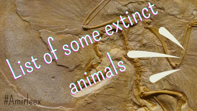 List of some extinct animals