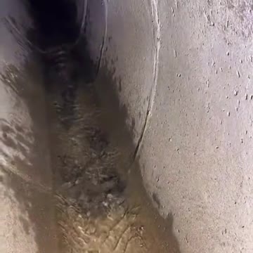 funny|prank|jokes|funny jokes|dad jokes|funny memes|funny video|fun|laughing|funny animal|knock