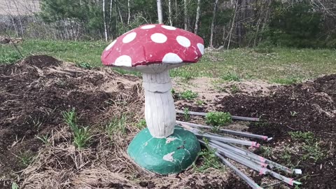 Mushroom