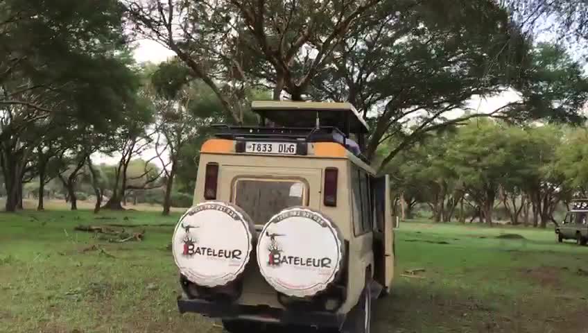 Safari in RUAHA with BATELEUR SAFARIS