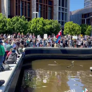 Perth Fights For Freedom