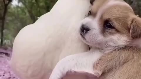 Unusual best friends but best friends none the less