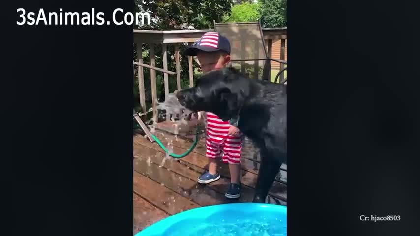 Cute Dogs and Babies are Best Friends 👶🐶 There's nothing greater than Dog and Baby