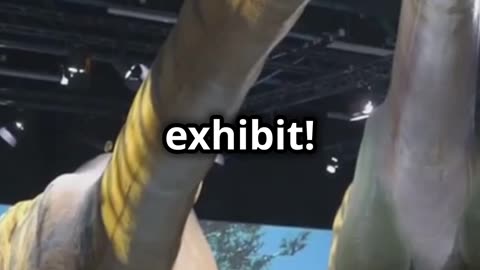 James Video 2