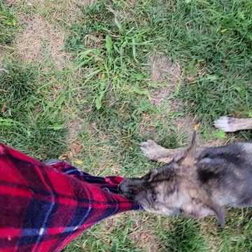 Morning with Miss Mara